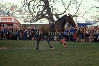 Merry Sovereign gallops along riderless, Clissy Strachan having taken a fall.EV01-03-05