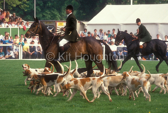 Beaufort hounds EV199-10-17