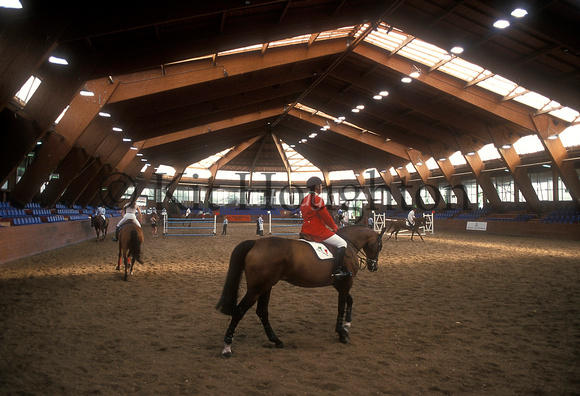 Warming up for showjumping. Indoor school SJ170-01-03