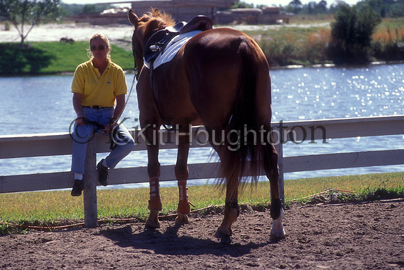 Rider sitting on a fence holding horses reins SJ154-05-14