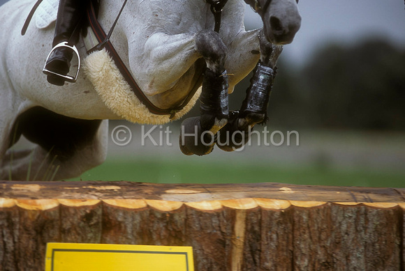 Close up of front legs jumping fence EV193-03-17