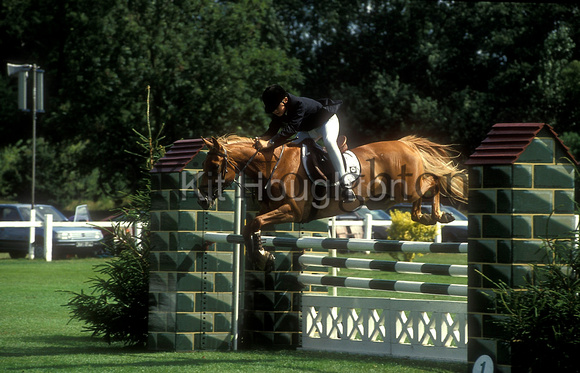 Richard Davenport and Edenside Asher Royal International Horse Show 1993 SJ139-01-05.JPG
