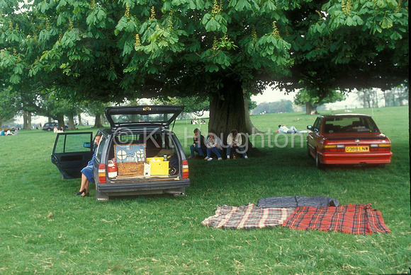 Sloane picnic EV199-01-19