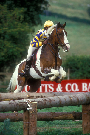 Sara Wells and Mr Softee in young riders trialEV176-01