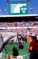 Milton and groom World Equestrian Games 1990 SJ117-01-24.JPG