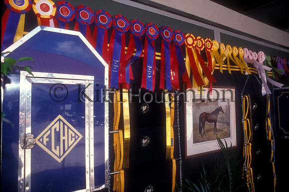 Awards and rosettes in the stalls SJ154-03-20