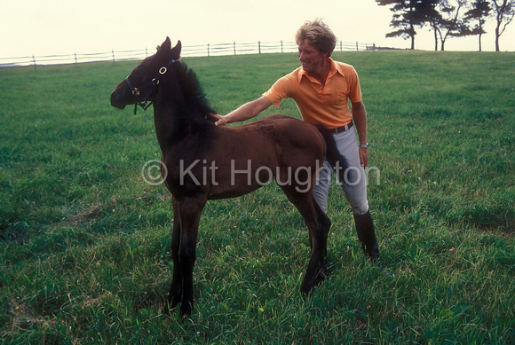Bruce strokes young foal in paddock. 1981EV23-23