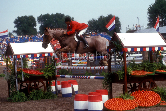 Boris Boor (AUT) and Soutache d'Aure World Equestrian Games 1994 SJ145-04-23.JPG