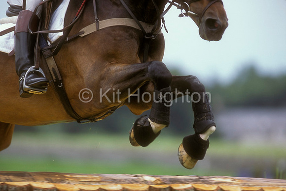 Close up of front legs jumping fence EV193-03-19
