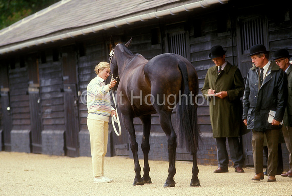 Virginia Holgate and Night Cap II at the vets inspection int he stable areaEV77-18