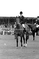 Holderness-RoddamJ_Bad78_0640
