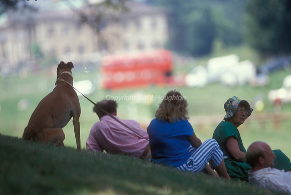 Spectators with their dog EV214-02-24