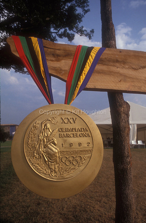 Large gold medal EV283-35-01