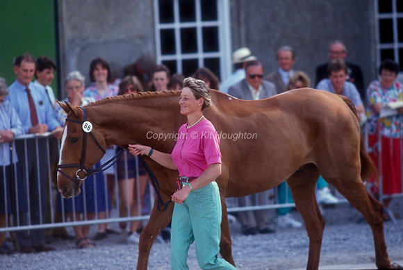Mary Thomson (GBR), Mary King with King Cuthbert at final vet check EV231-03-03