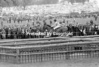 Gordon-Watson_Mary_Bad79_0452