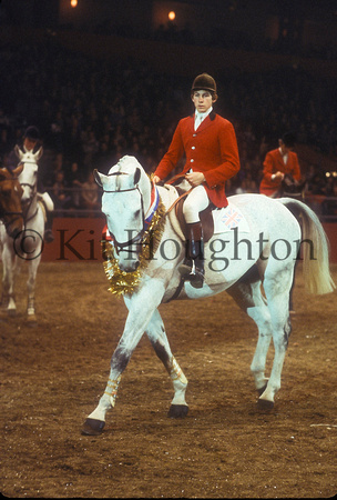 Nick Skelton riding Everest Lastic setting the British High Showjumping record at Olympia, 1978. The record jump measured 7 feet 7 and 5/16th inches, beating the 1937 record set by Don Beard and Swank