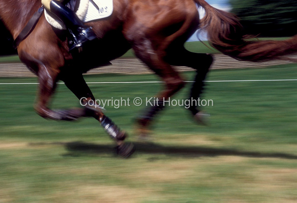 Close-up horses legs, galloping EV427-04-05