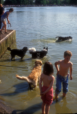Children and dogs in the lake EV210-01-15
