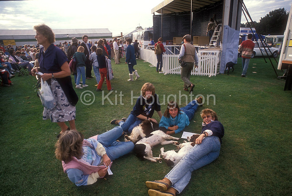 Spectators and their dogs relaxing EV203-12-23