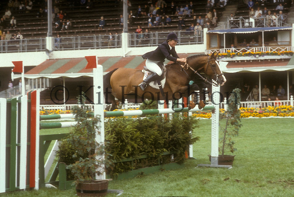 Caroline Bradley riding Marius;Dublin Horse Show 1979 SJ04-01-20
