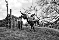 Phelps_Mason_Bad70_0579