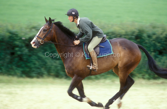Riding King William, fast work, cantering EV277-18-20