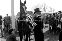 GreenL_BADkh1983_1058