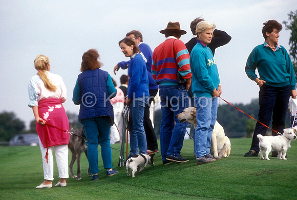 Group of spectators with their dogs EV203-10-12