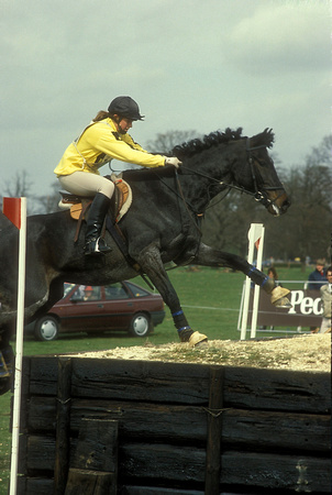 Pippa Nolan GBR (Pippa Funnell) riding Sir Barnaby EV248-01-23