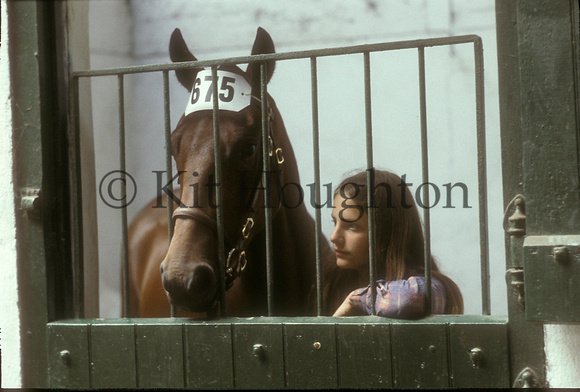 Groom and horse in stables;Dublin Horse Show 1978 SJ04-03-24