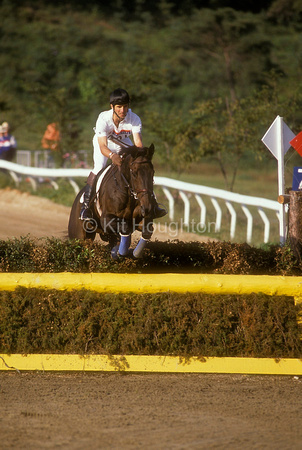 Captain Mark Phillips and Cartier during steeplechase EV204-20-07