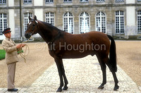 French Trotter