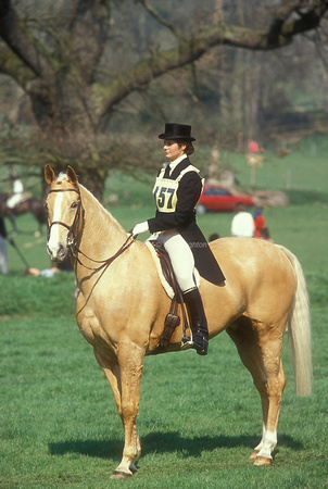 Julie Cooper riding Priory Gold, palomino standing EV227-01-10