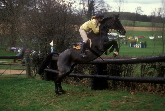 Pippa Nolan GBR (Pippa Funnell) riding Sir Barnaby EV245-01-02